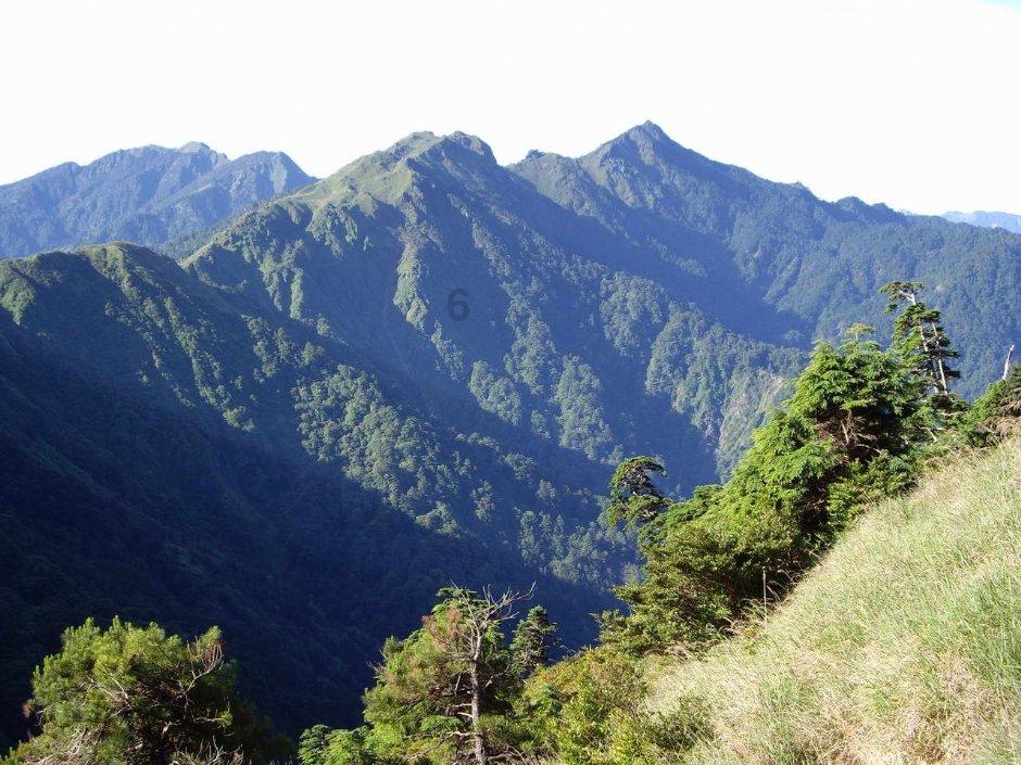 逃离昏暗下的小村